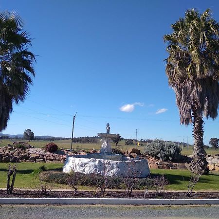 Allonville Gardens Motel Wagga Wagga Εξωτερικό φωτογραφία
