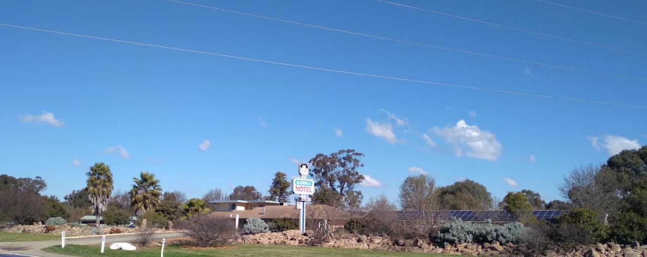 Allonville Gardens Motel Wagga Wagga Εξωτερικό φωτογραφία
