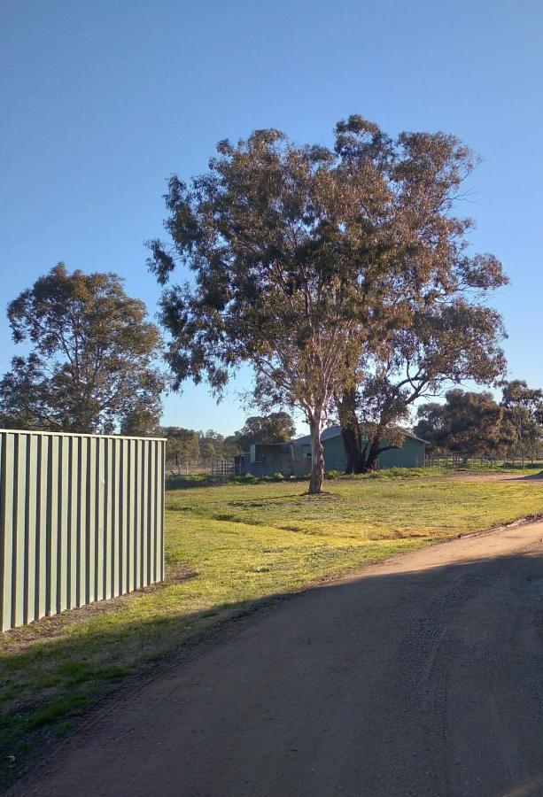 Allonville Gardens Motel Wagga Wagga Εξωτερικό φωτογραφία