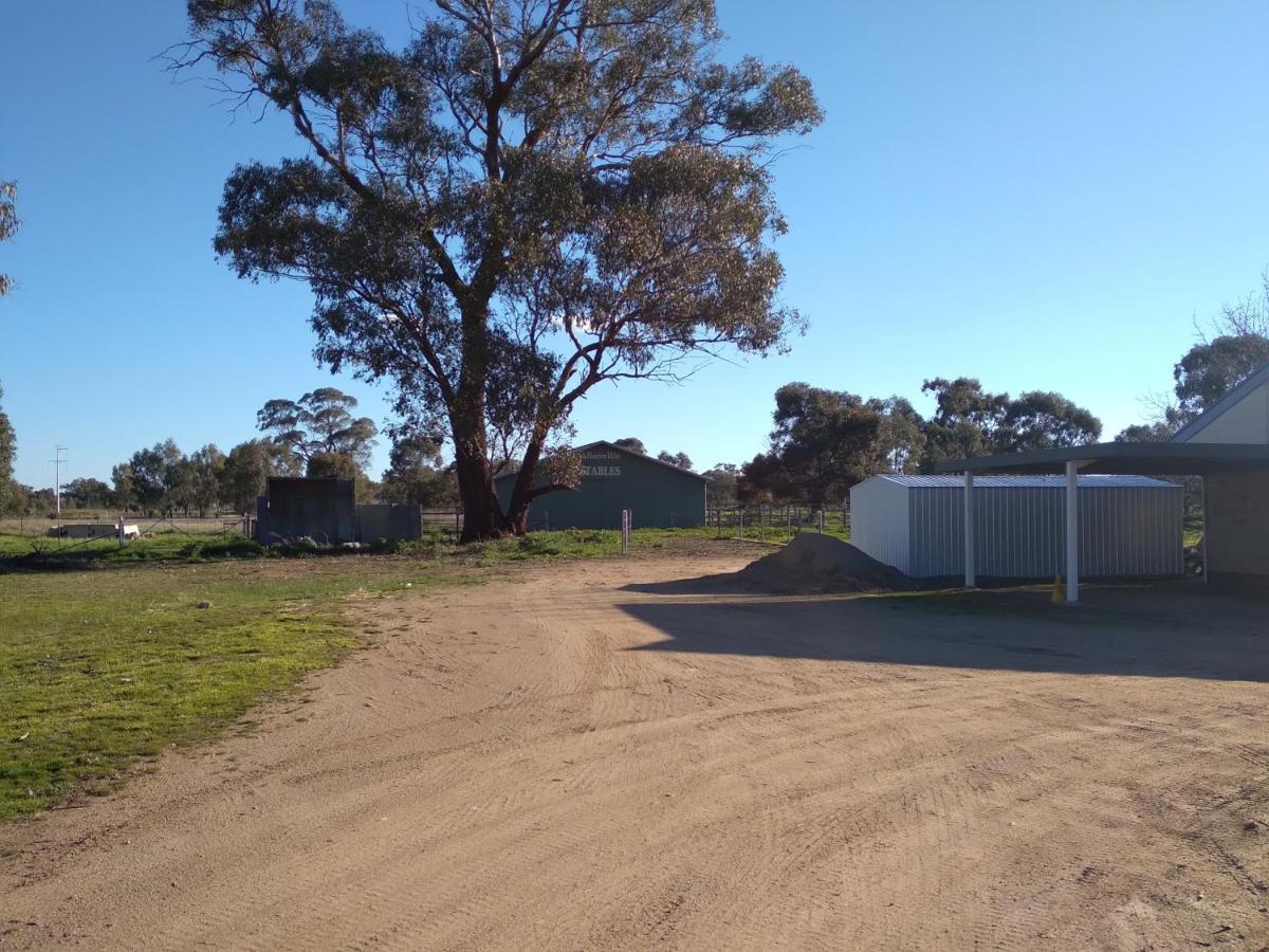 Allonville Gardens Motel Wagga Wagga Εξωτερικό φωτογραφία