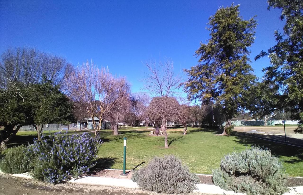 Allonville Gardens Motel Wagga Wagga Εξωτερικό φωτογραφία
