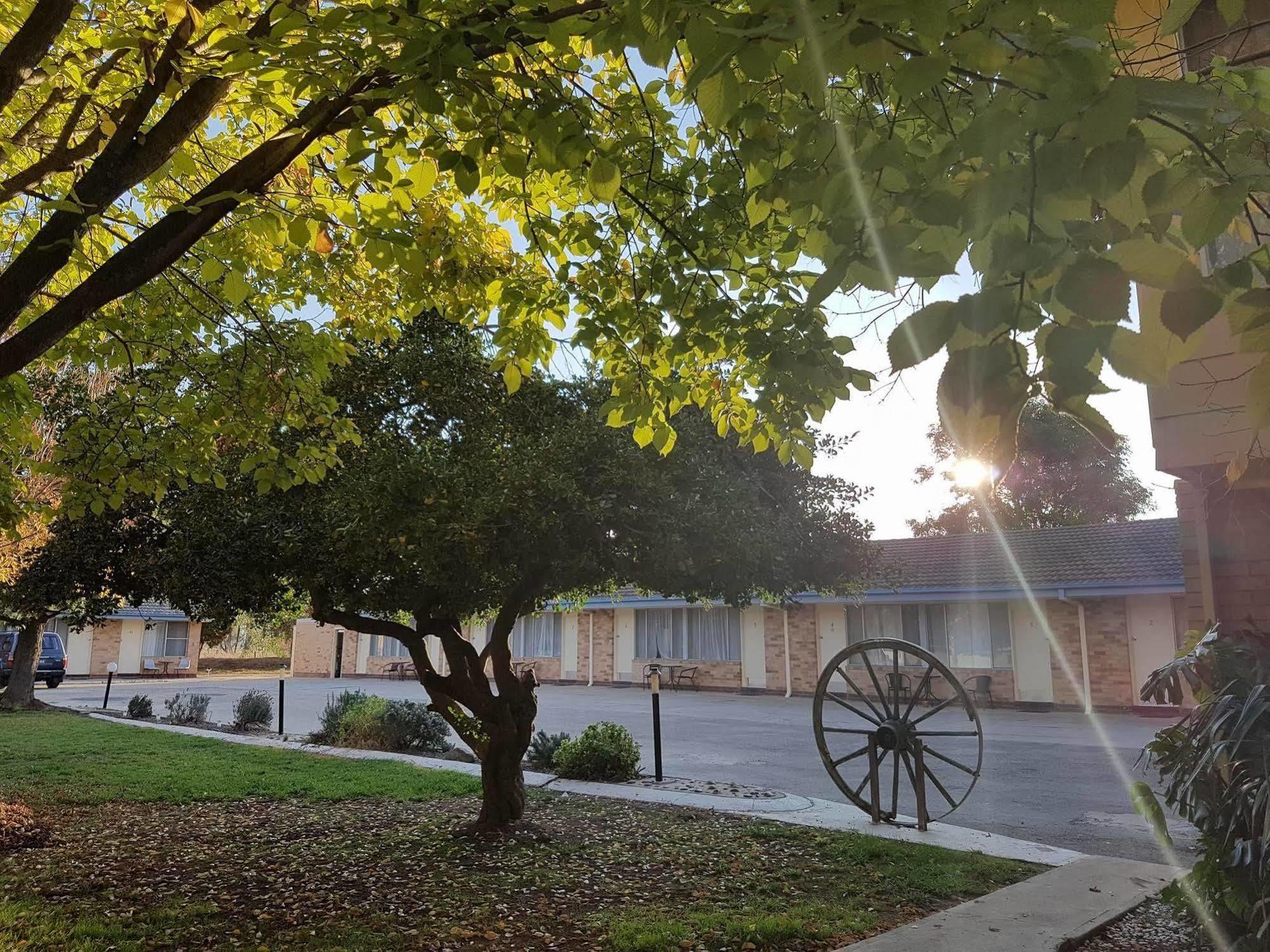 Allonville Gardens Motel Wagga Wagga Εξωτερικό φωτογραφία