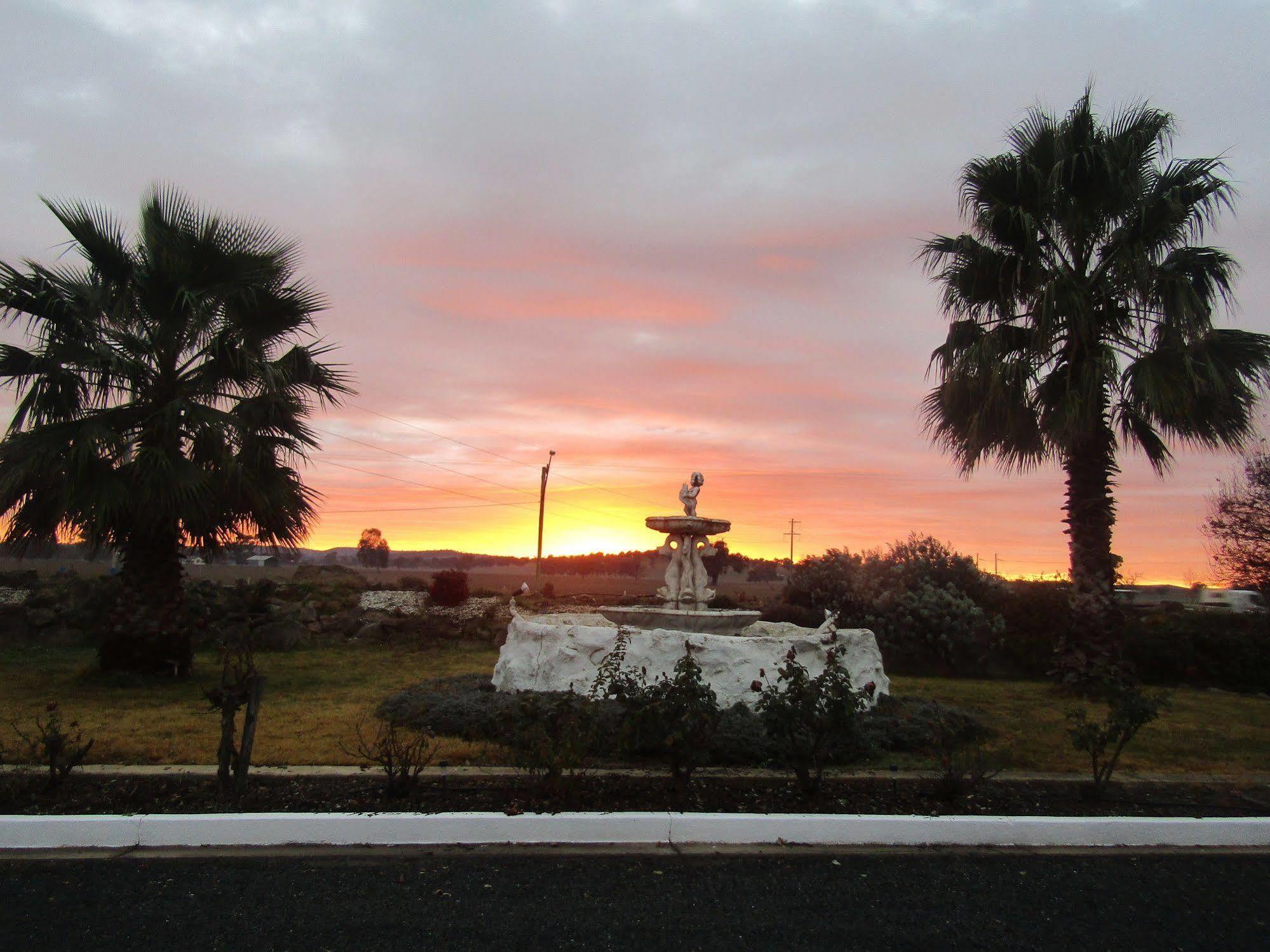 Allonville Gardens Motel Wagga Wagga Εξωτερικό φωτογραφία